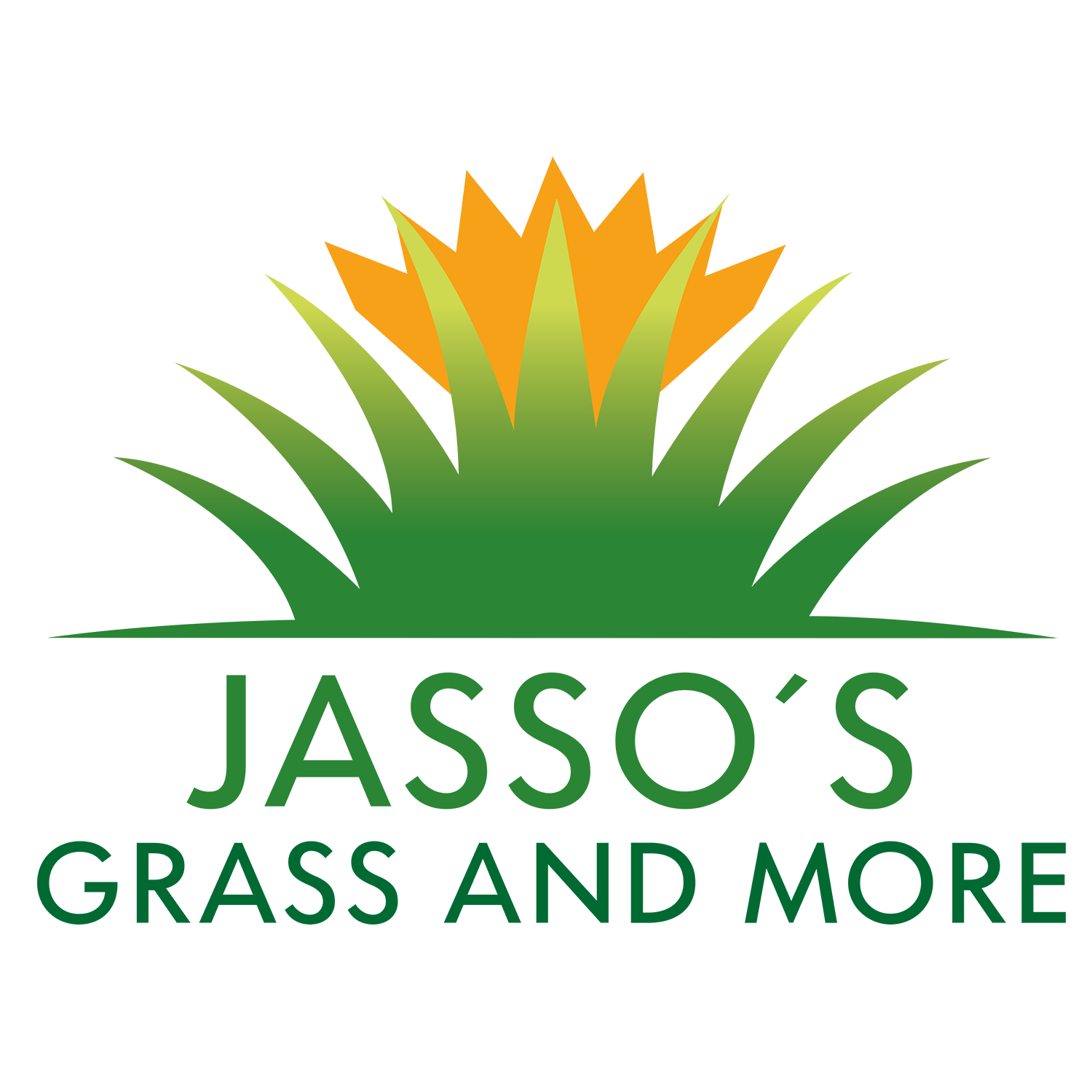 Jassos Grass